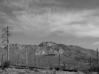 457424_3353664035513_1481869906_o