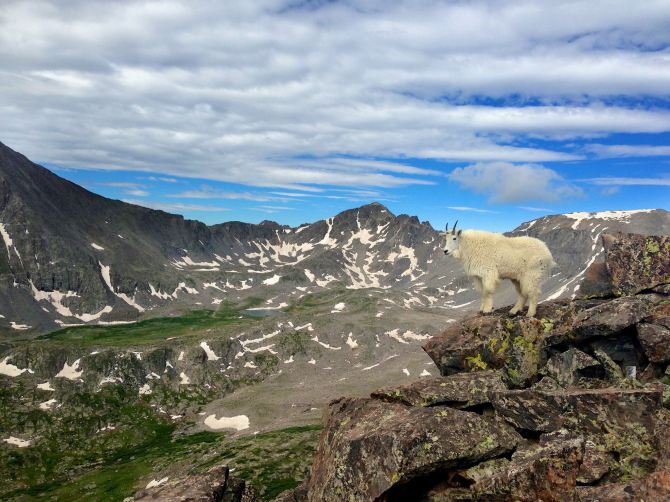 1063989_10200223324640912_347065522_o-1